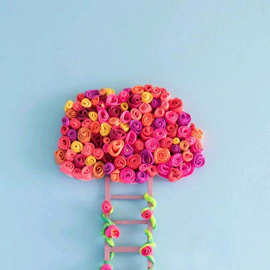 莱芜小玥蛋黄南瓜(吴花园店)