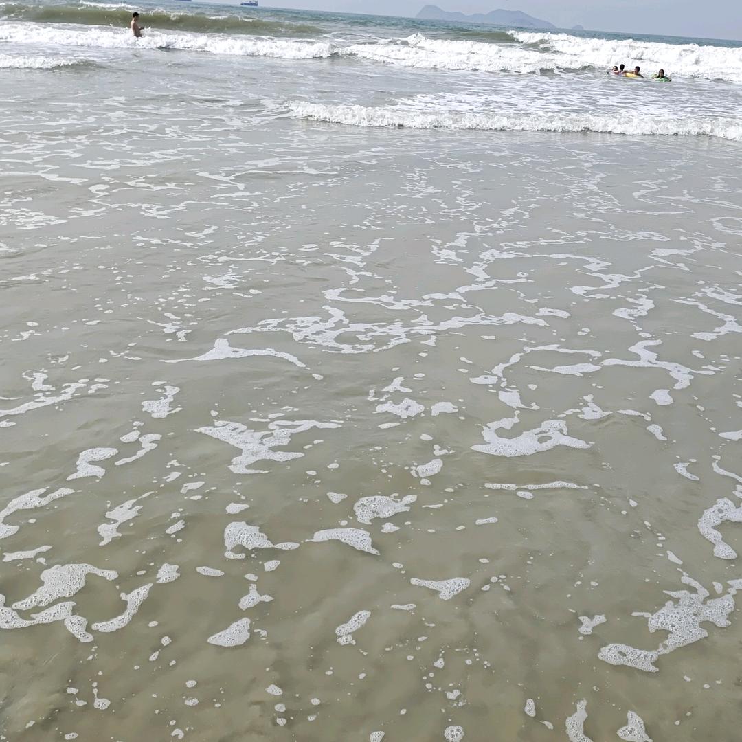 🌈熊大熊二🦈