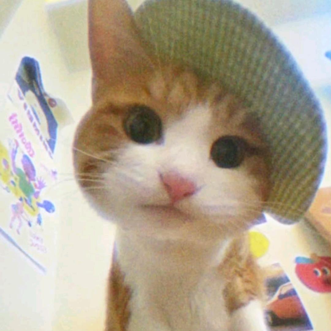 开心的兔子🐰