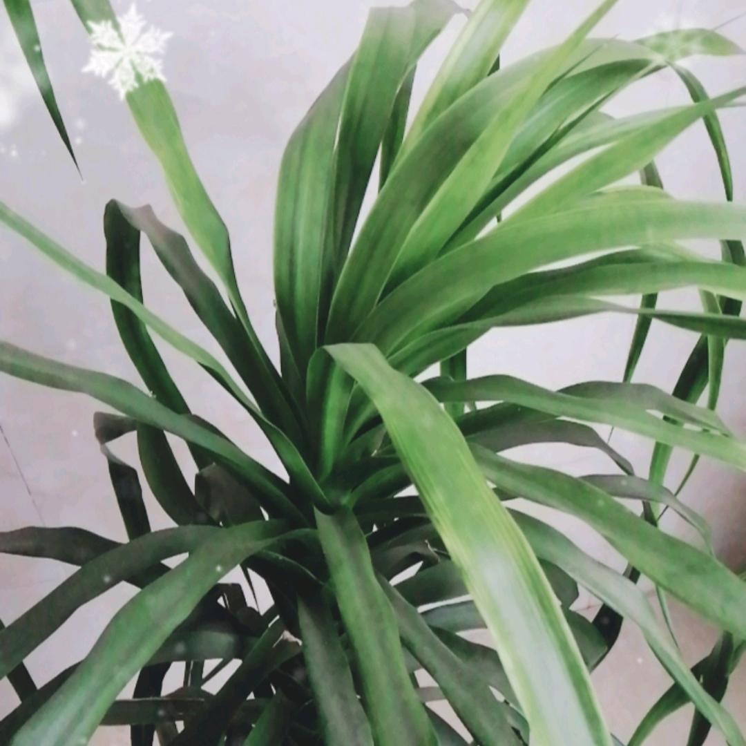 幸福美满☔️🚁