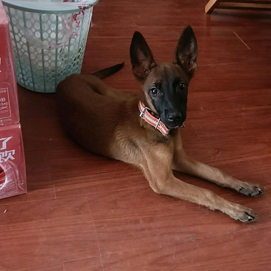 Oriflame~香港天赐家居