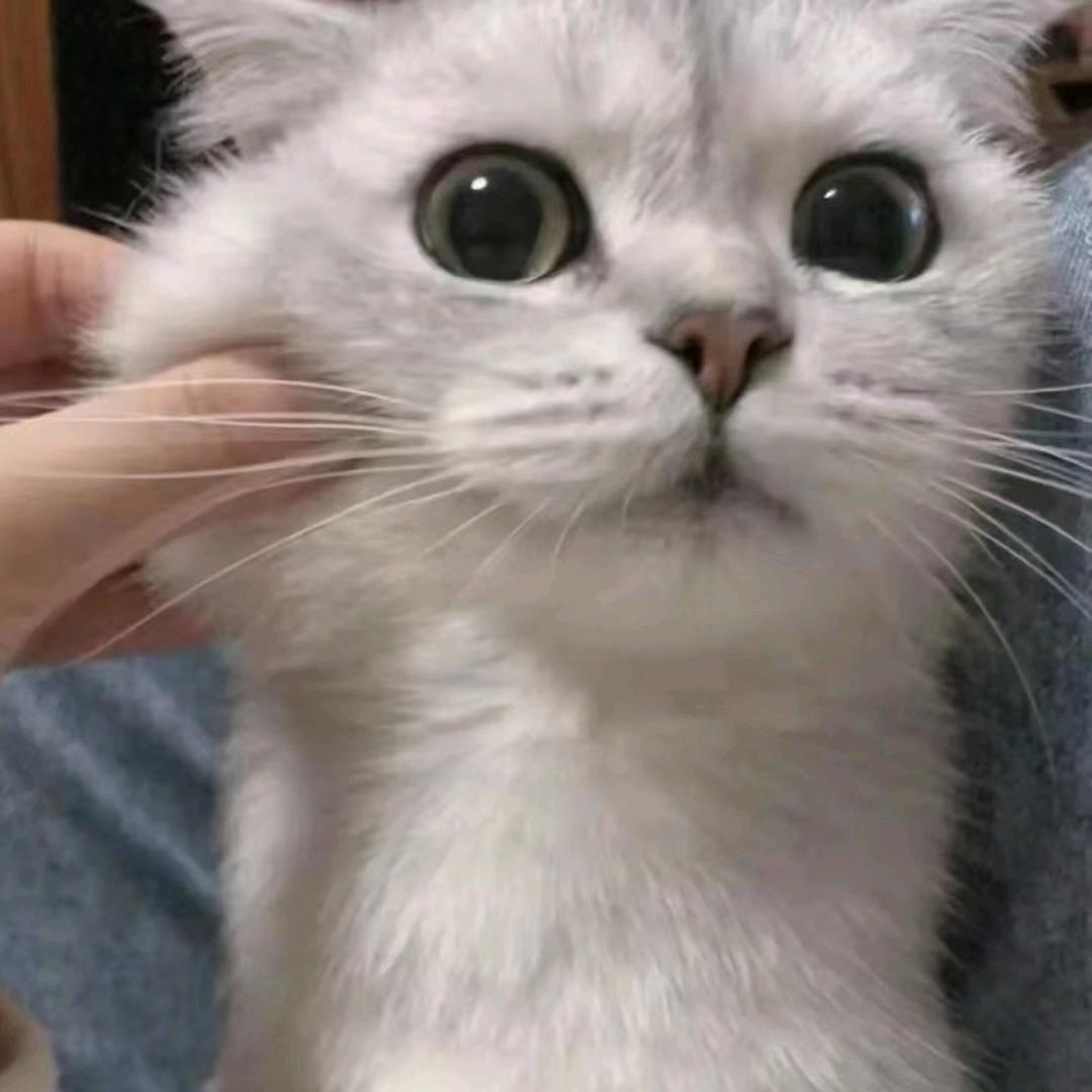 uw头像