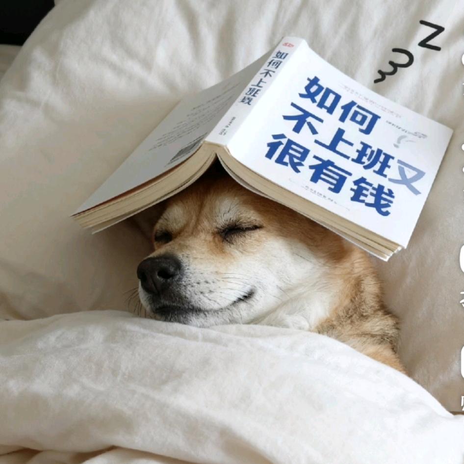 笨笨女王