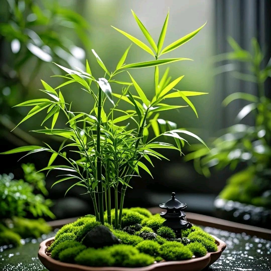 励志