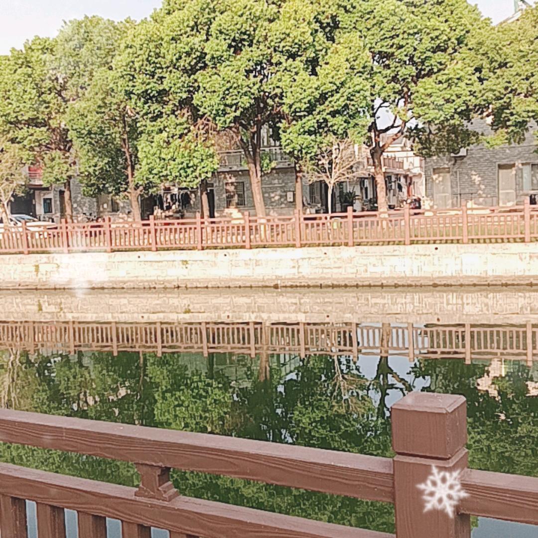 冯先生
