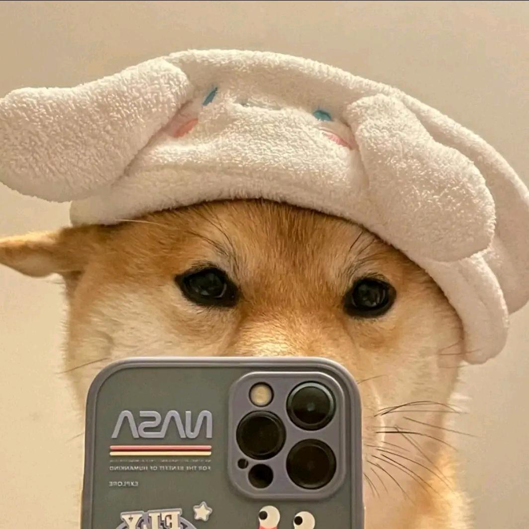 好好的休息头像
