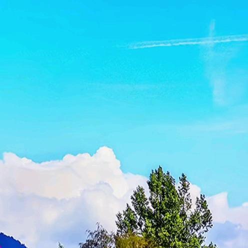 🌸丹歌一曲🔥秋⁹²¹³