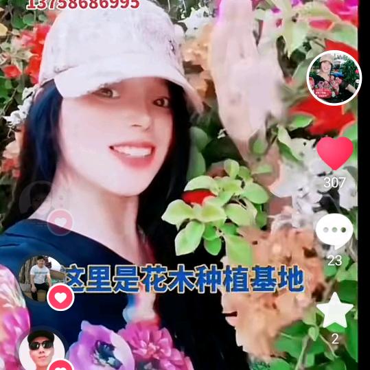 台州阿香