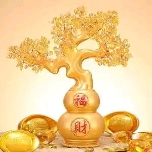 柿柿如意