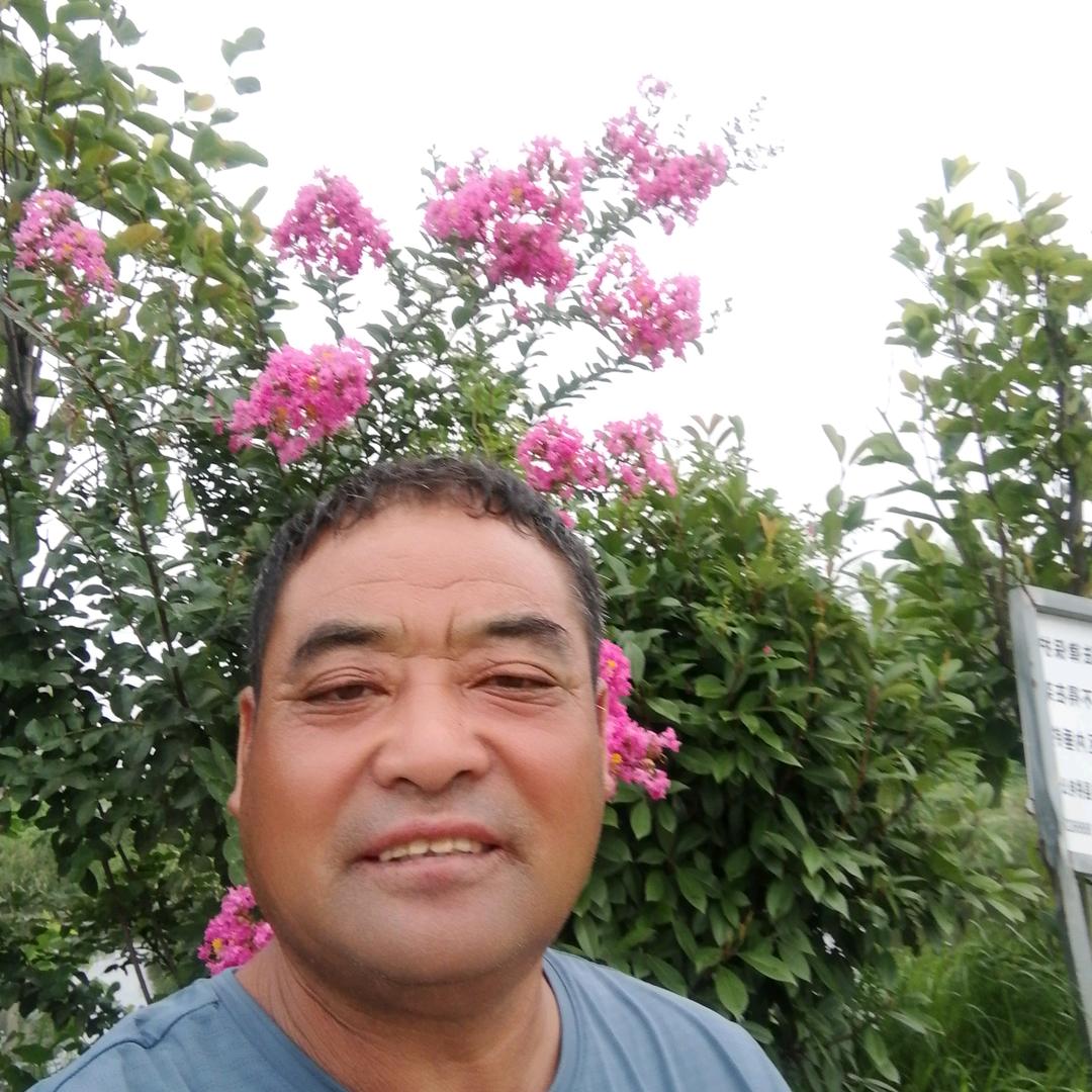 好事天天有（下梅）