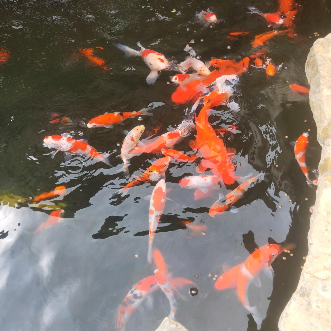 章丘元兴号铁铺