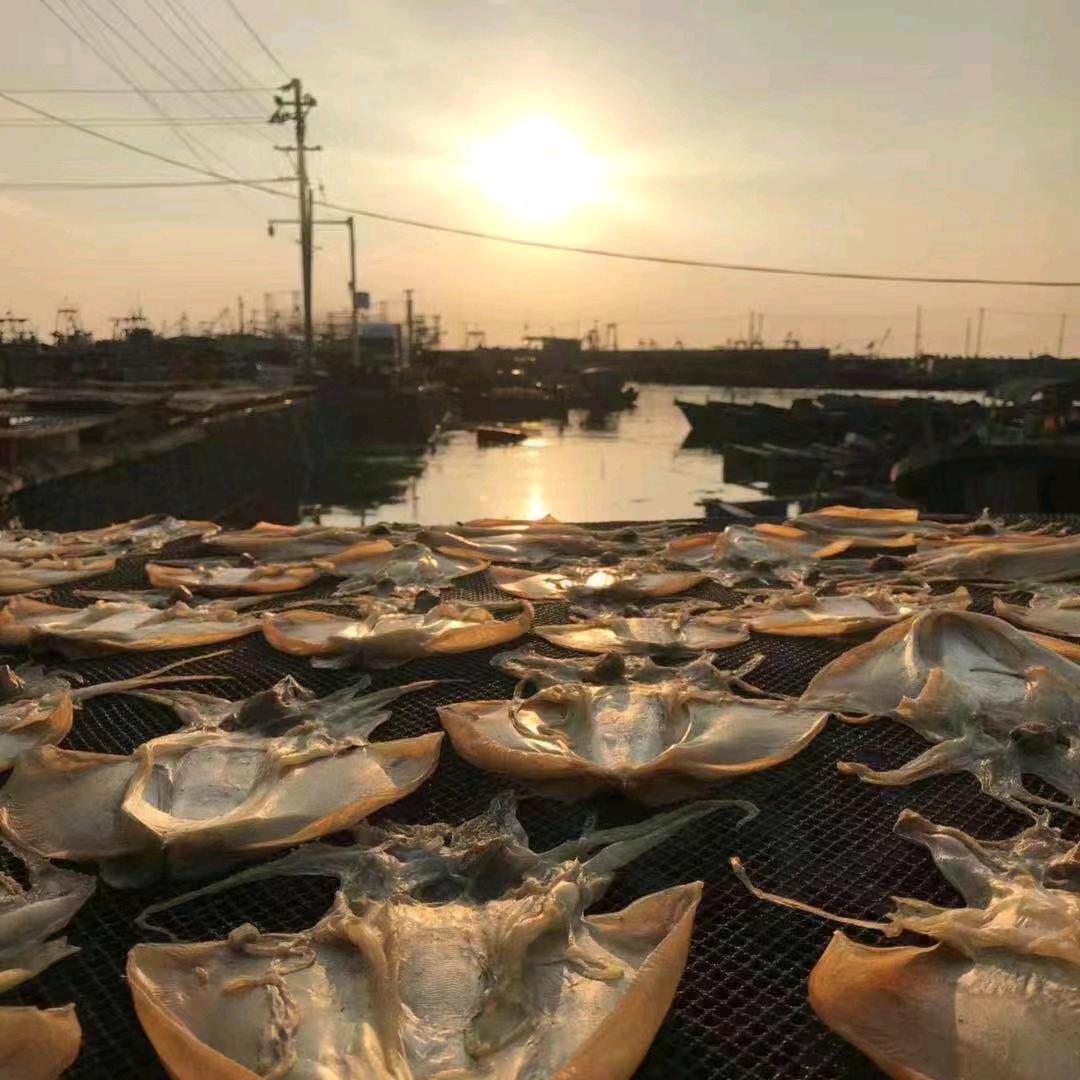 三色海卡卡在努力