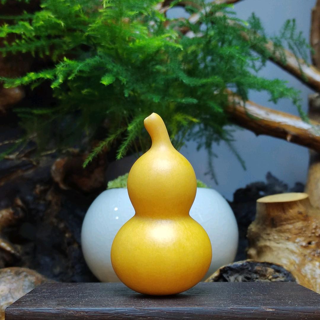 景暄葫芦