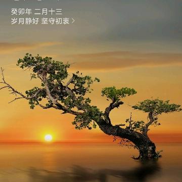 节省投资CTO