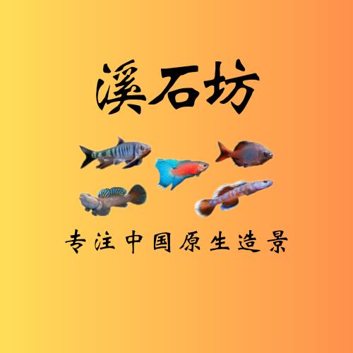 溪石坊景观工作室
