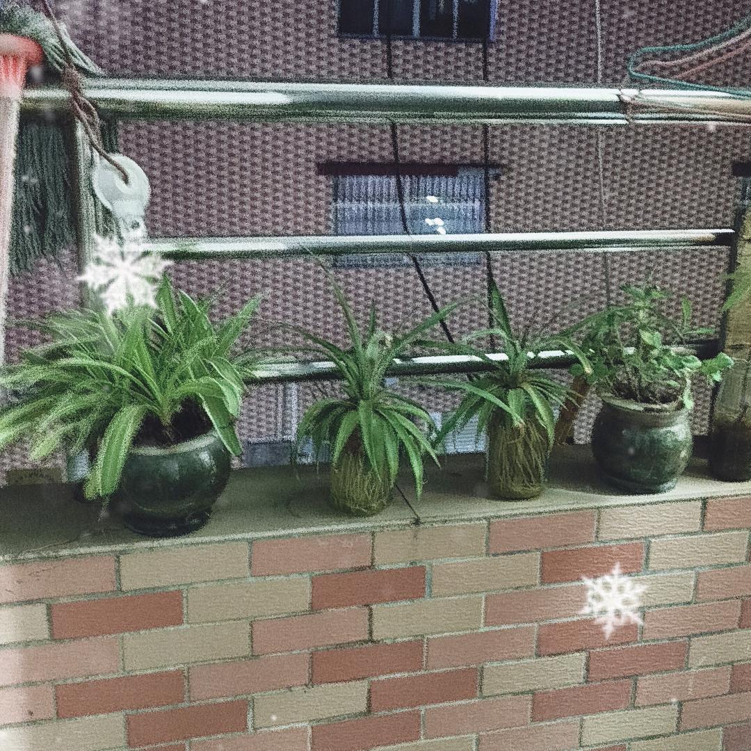 笑啥人生南滴哥