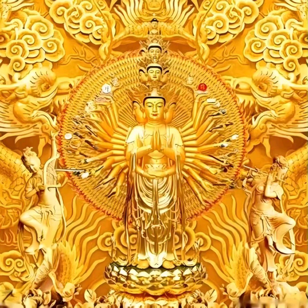 金哥☆