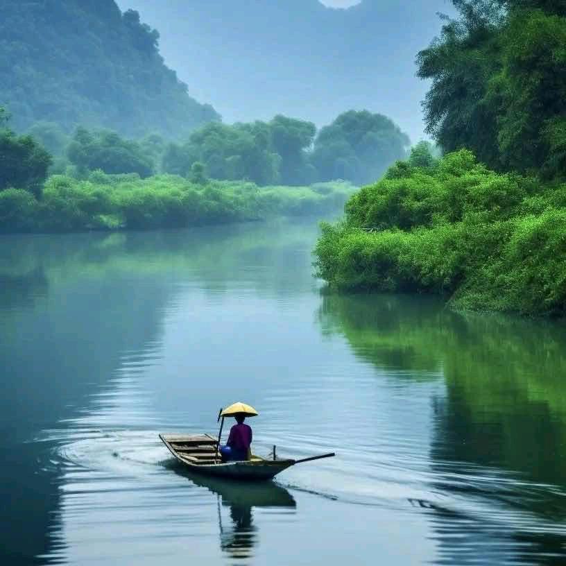 相忘于江湖No.1