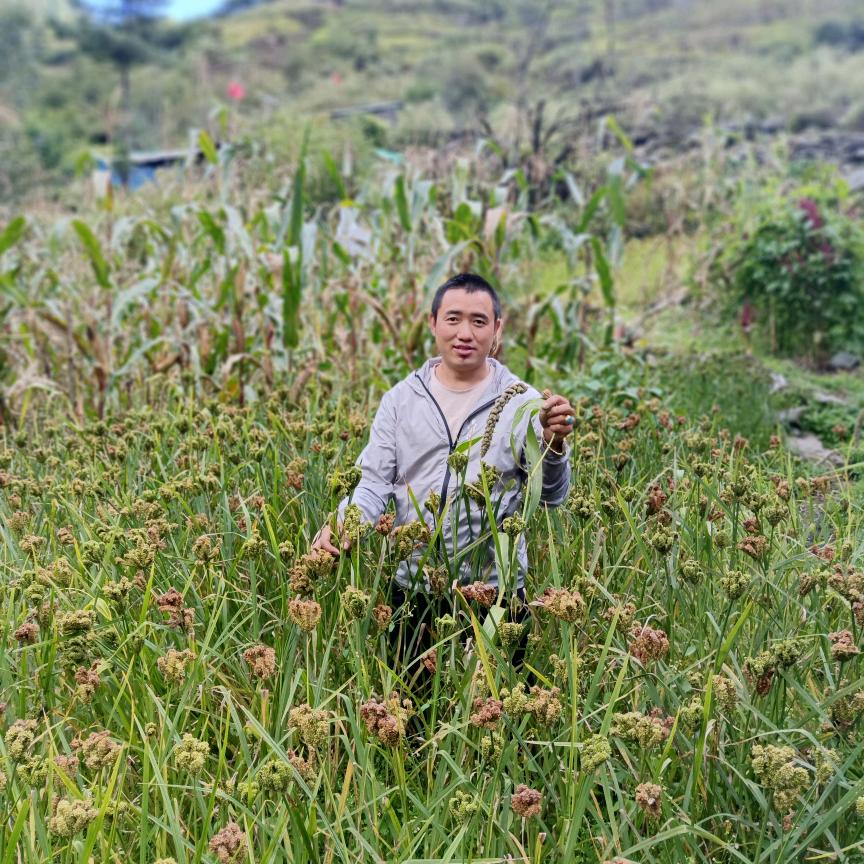 夏尔巴 达琼罗布