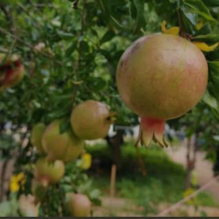 铿锵玫瑰🌹🌹🌹