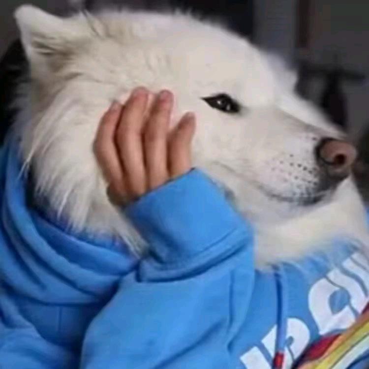 哈哈