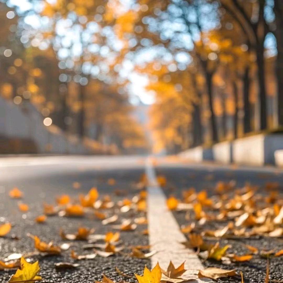 ꧁何必💞꧔ꦿ᭄ᩚ꯭ᩚ太真💞᭄᪲ᩚ꯭ᩚ