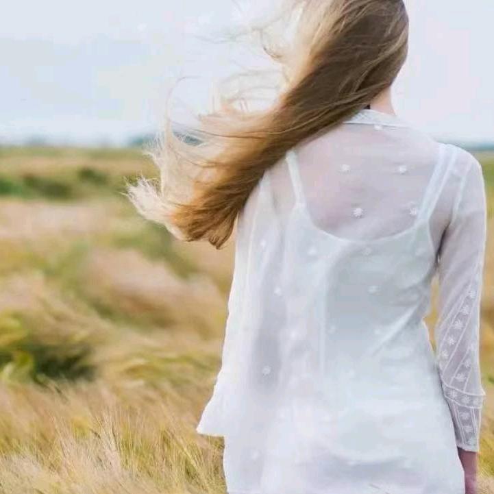菲芳