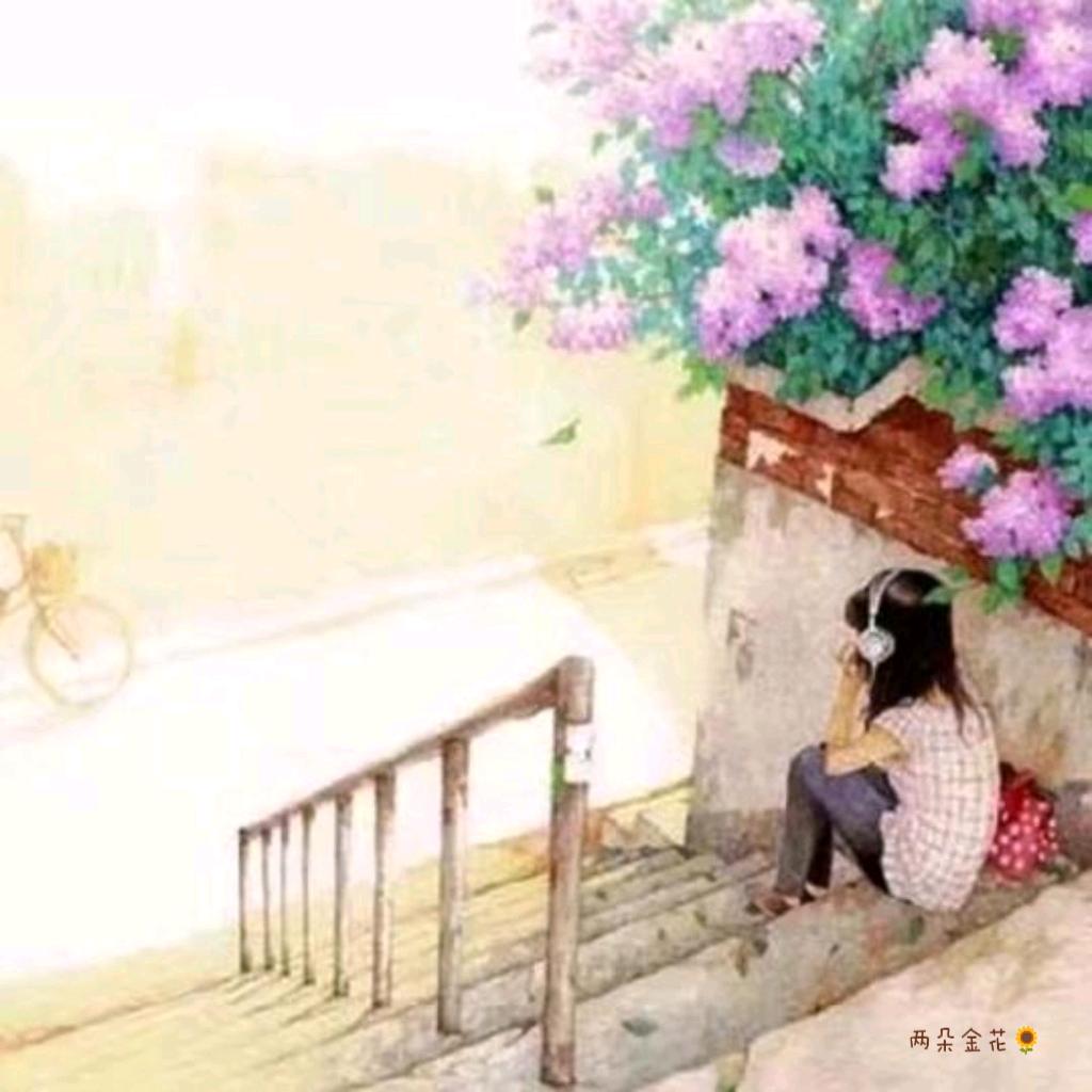 两朵金花🌻