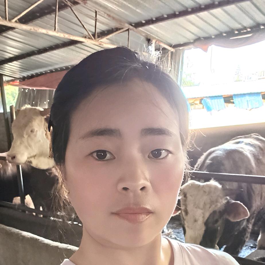 刘牛