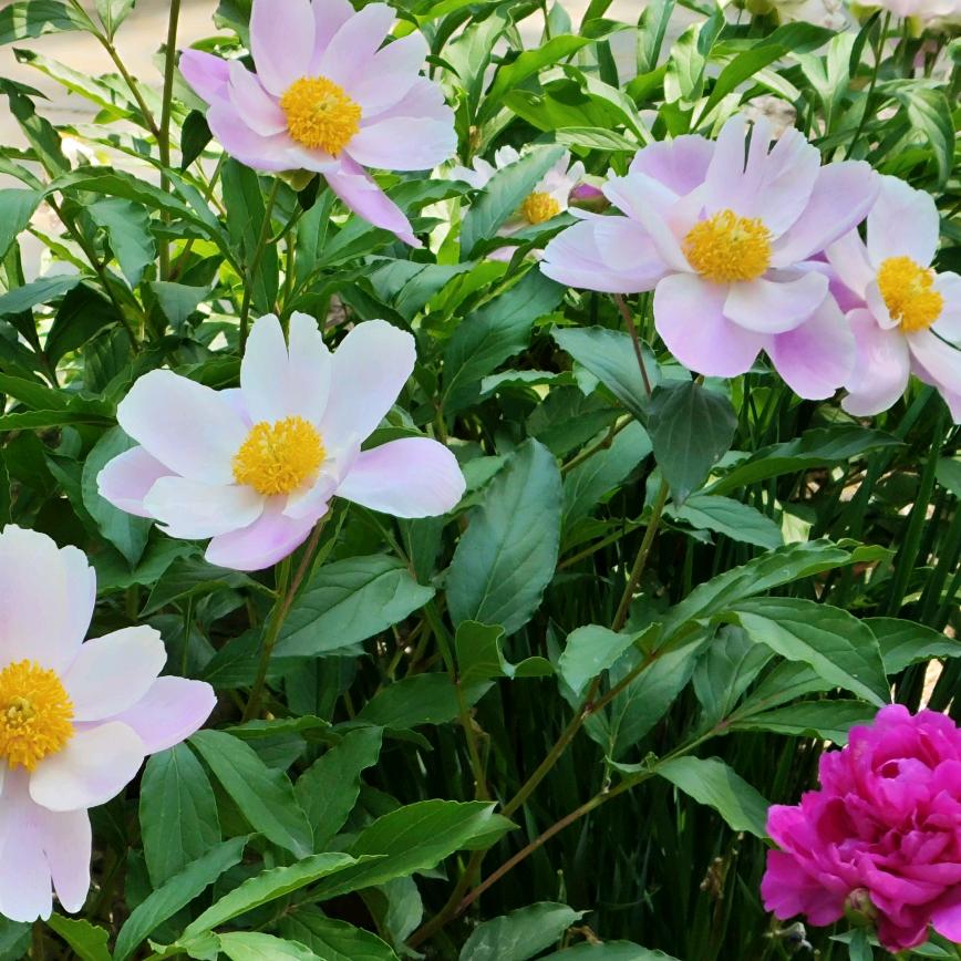 微笑面对每一天，张杰