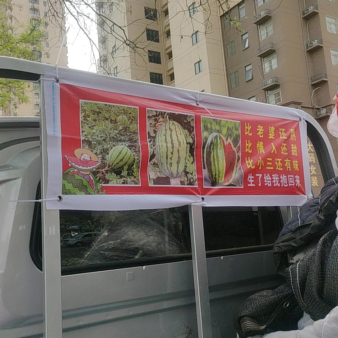 小趴窝