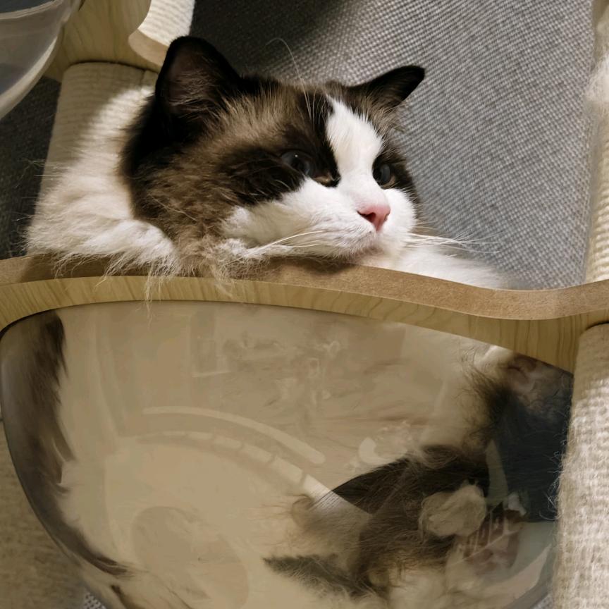 爱玩游戏的April