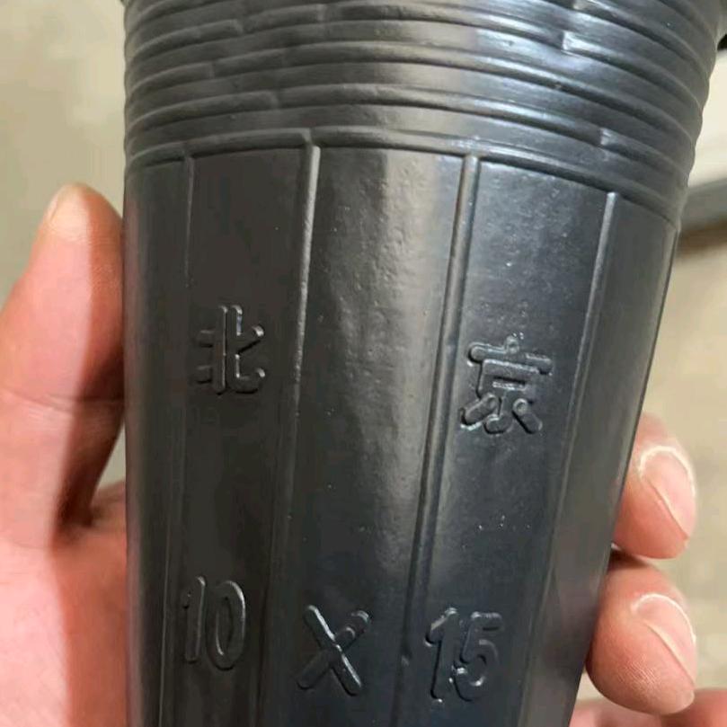 荷花杯，营养杯