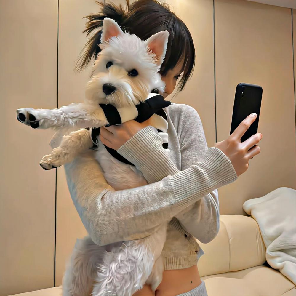爱上数码