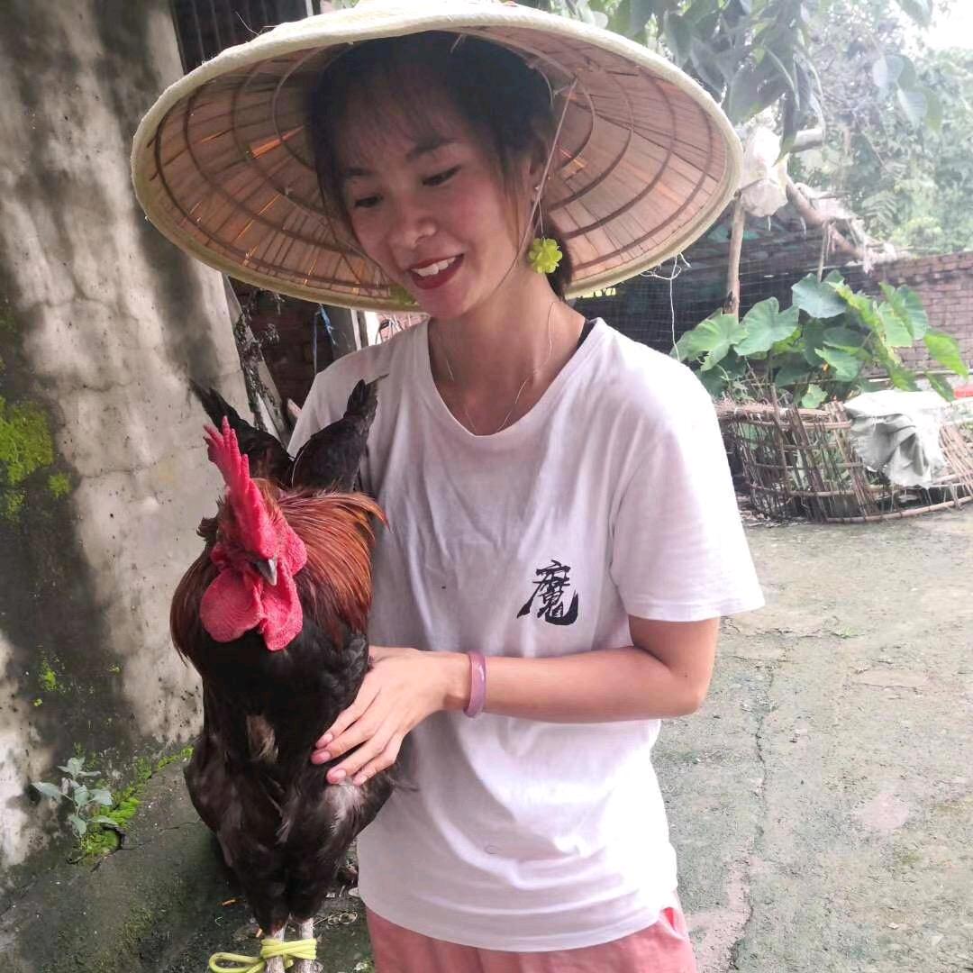 刘妹儿搞养殖