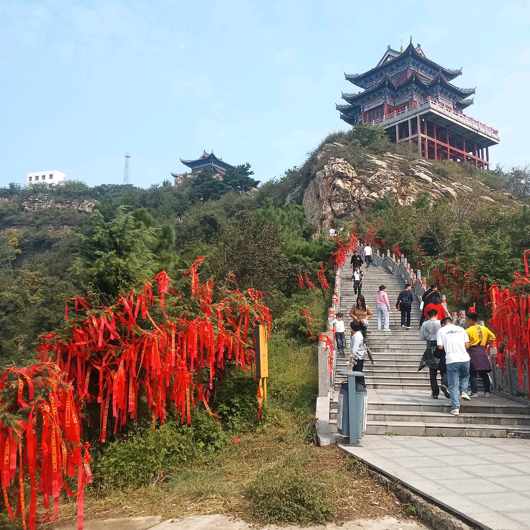 杨哥，甘蔗种植