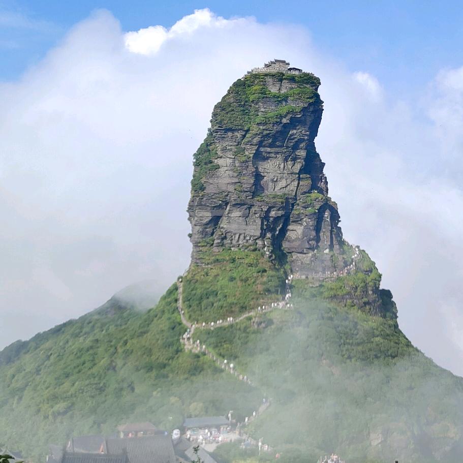 老成都纸包鱼：肥肠鸡(木黄店)