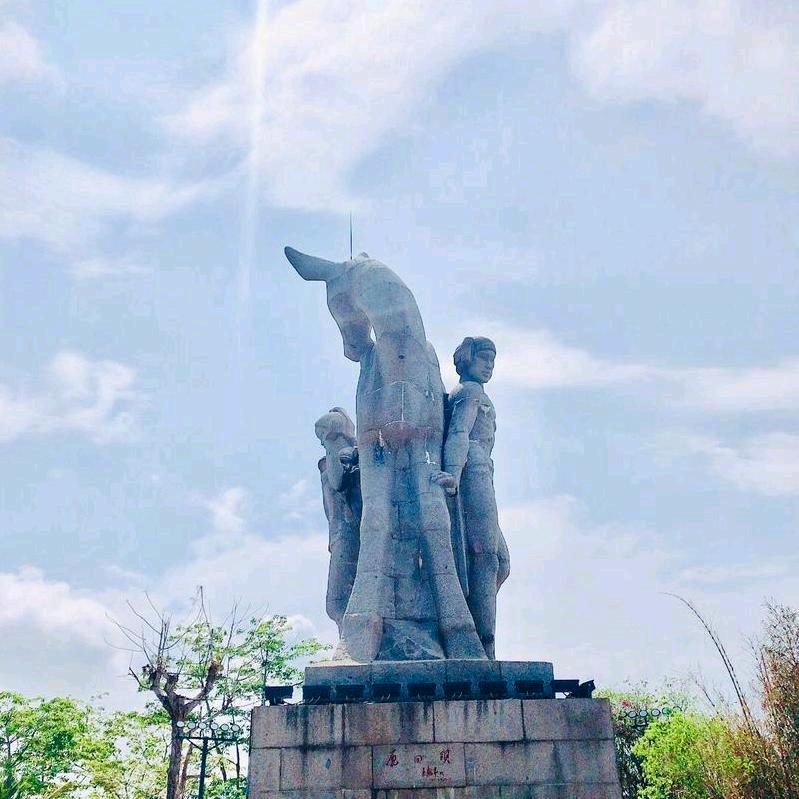 铁公鸡