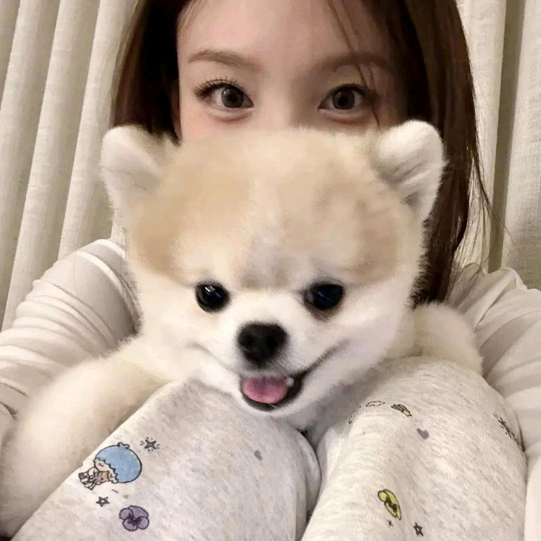 炫酷无敌狂拽吊炸天的美少女