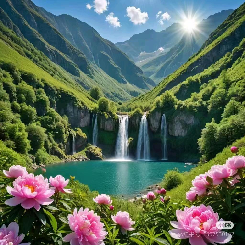 演唱会团购优惠