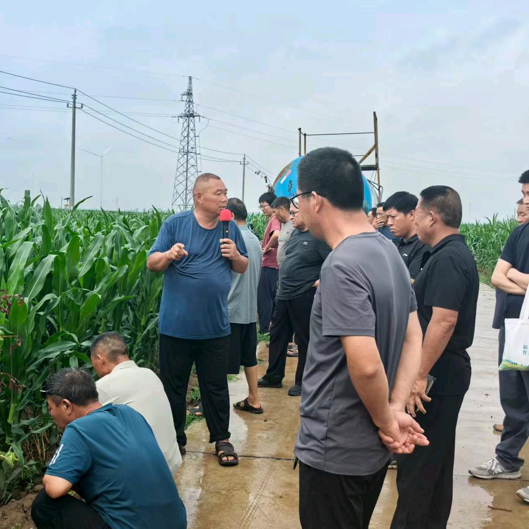 淇县大周农业