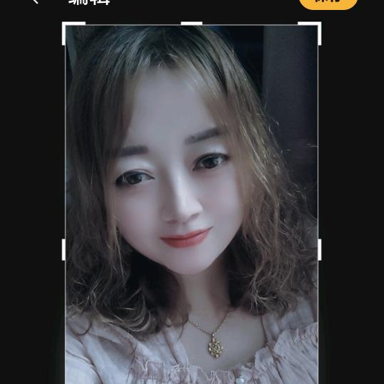 南飞雁