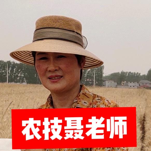 聂霞农资