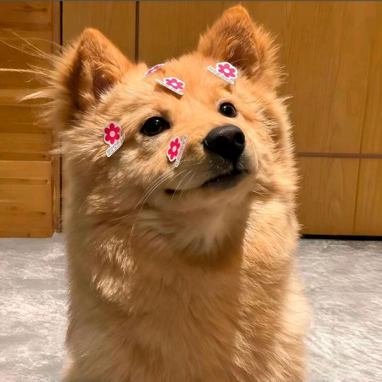 王冬来