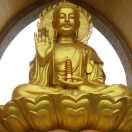 有砸墙的联系我