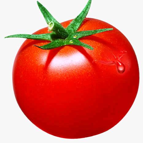 正能量——西红柿🍅
