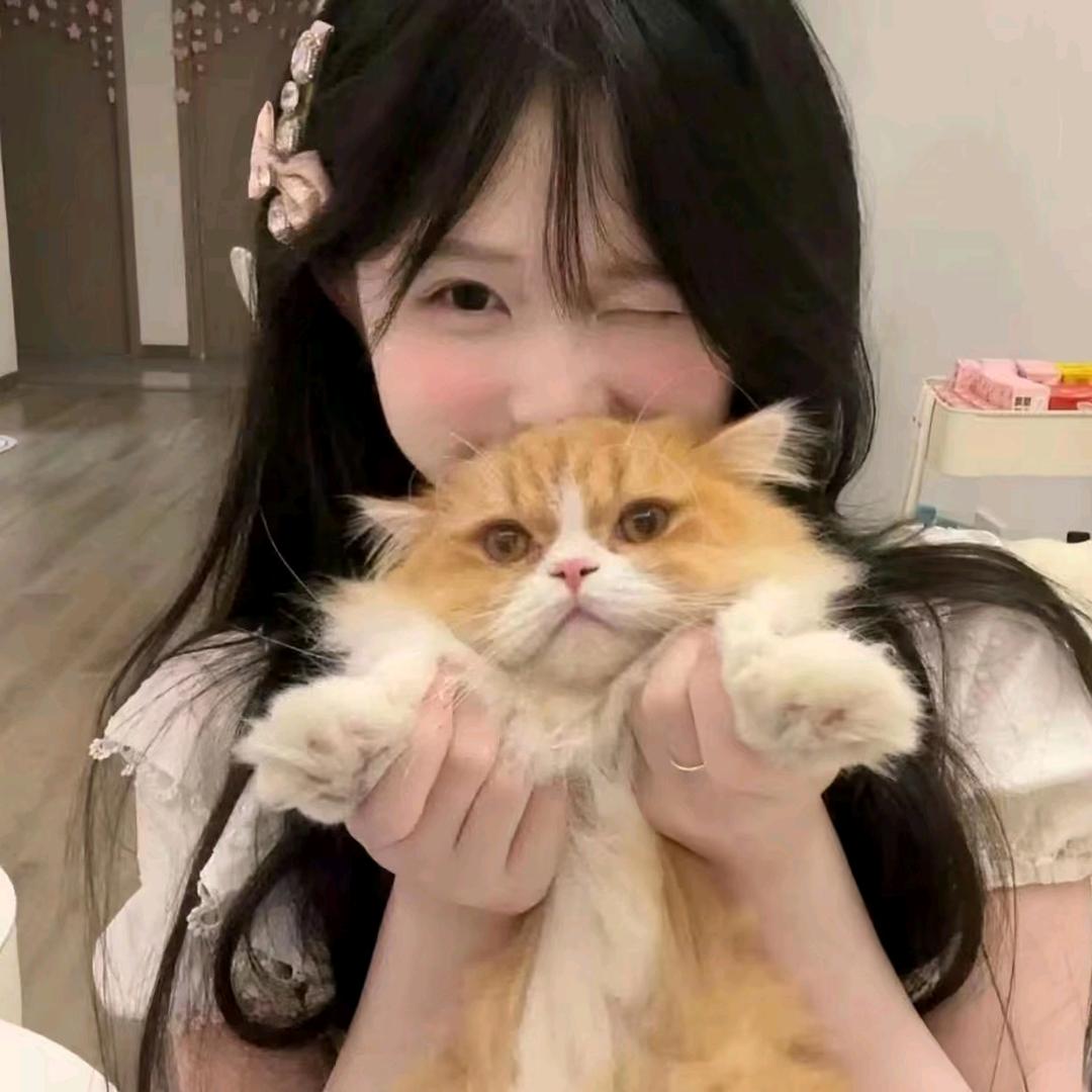 佳佳控头像