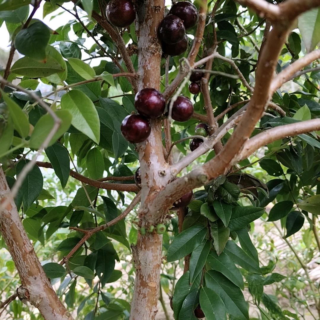 用户191975546744918645