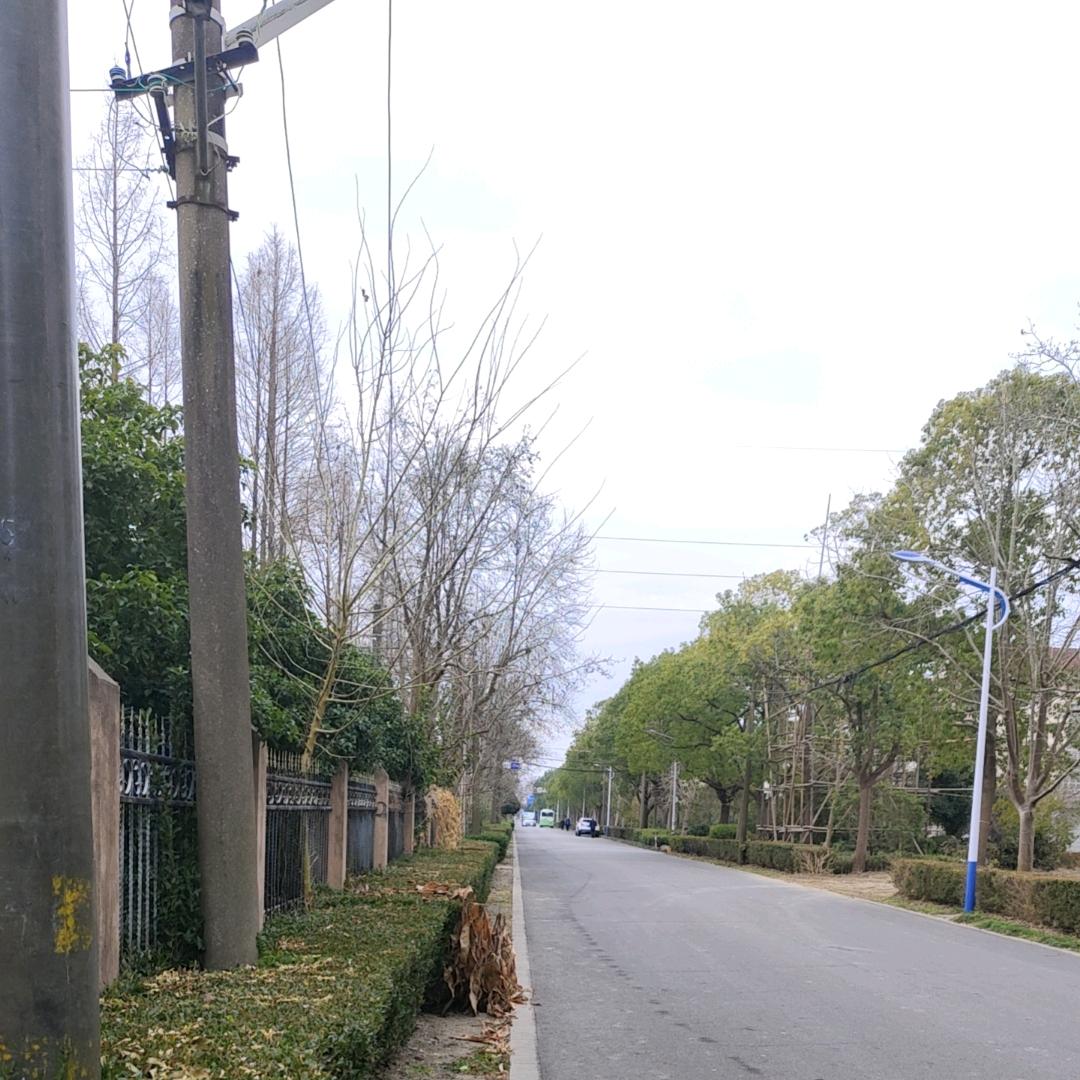 伤心小裤衩丶