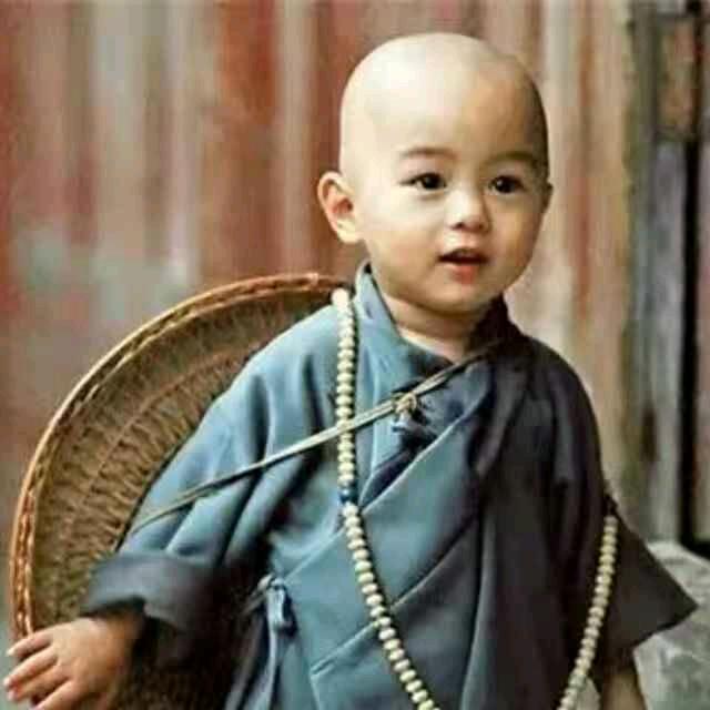 最后一个老实人